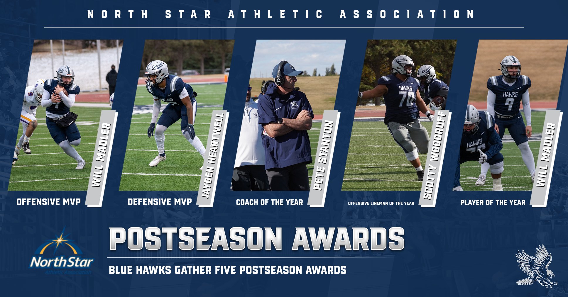 Blue Hawks dominate NSAA postseason awards