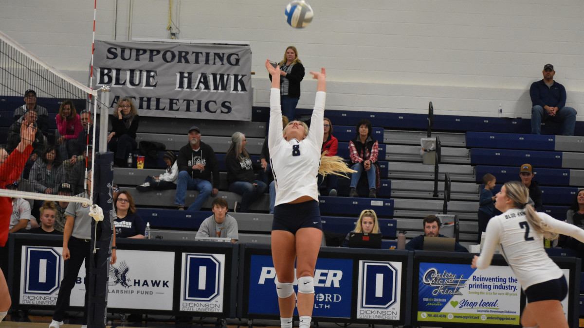 Blue Hawks can't stop Waldorf rally in five set loss
