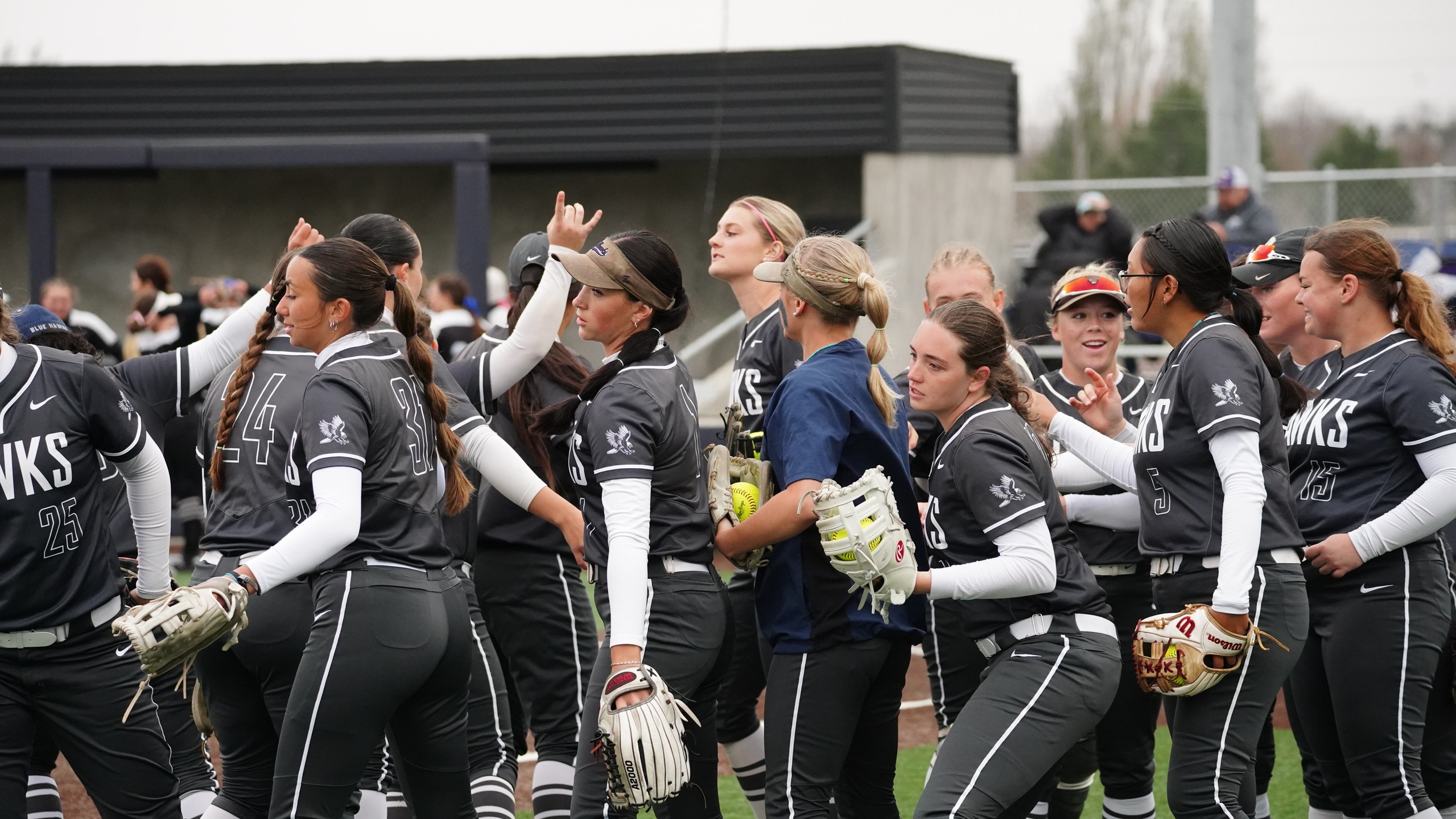 Blue Hawks set to head to Fayette Bracket for NAIA Opening Round
