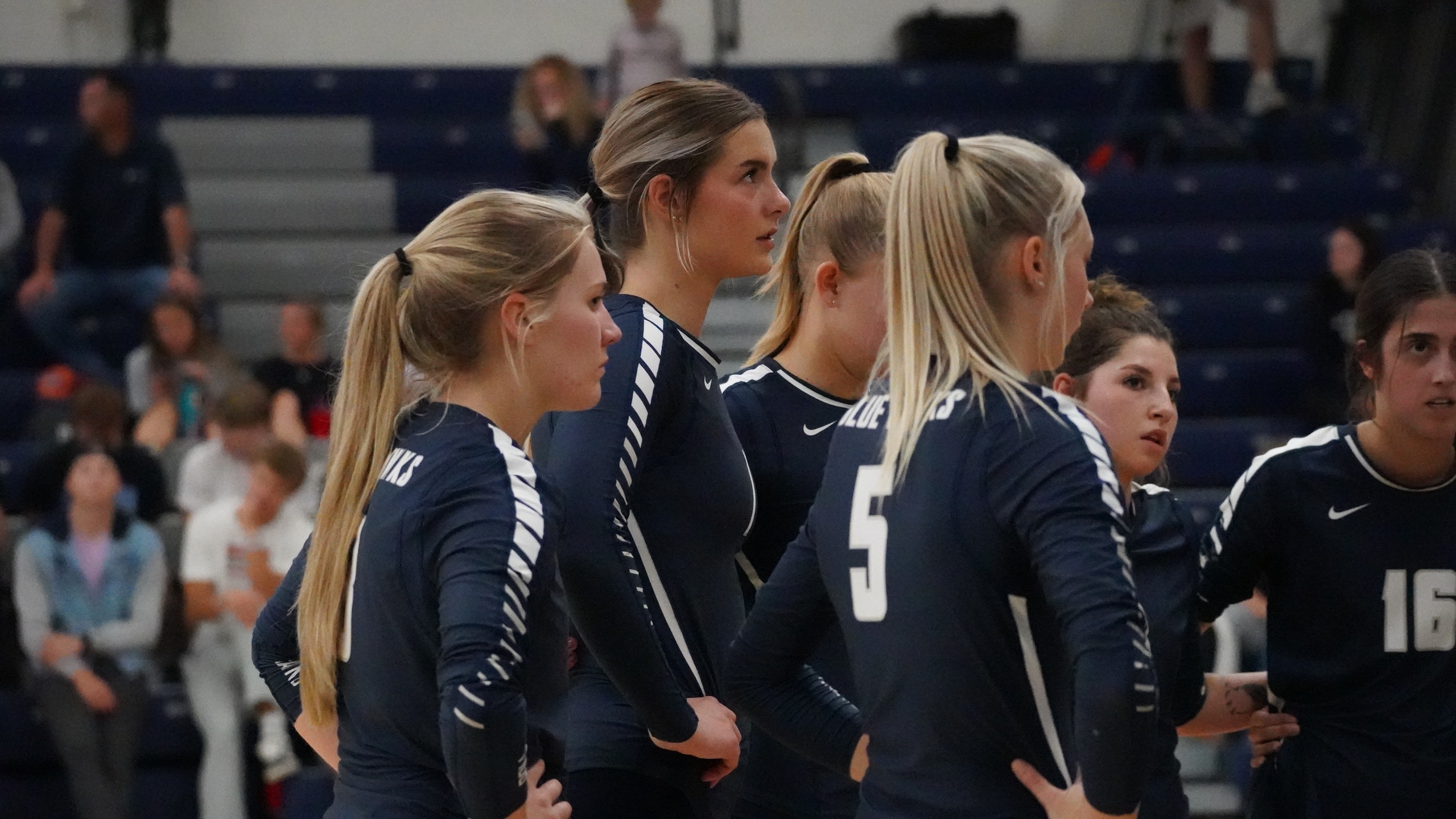 Blue Hawks fall to league leading Viterbo, set up show down with Waldorf